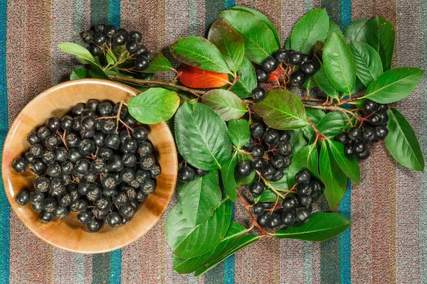 Chokeberry, aronia. Dry plants for use in alternative medicine, phytotherapy, spa, herbal cosmetics. Preparing infusions, decoctions, tinctures. Used in powders, ointments, butter, tea, bath — Stock Image Chokeberry Aronia Dry Plants Use Alternative Medicine Phytotherapy Spa Herbal Stock Image
