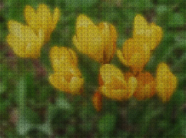 Illustrations. Cross-stitch. Saffron, Crocus.