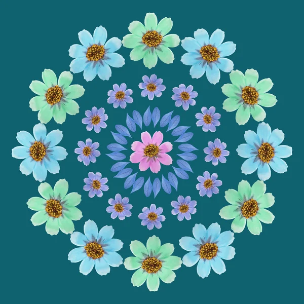 Mandala from dried pressed flowers, petals. Cosmos, kosmeya. Mandala is symbol of Buddhism, Hinduism, yoga. Ornament mandala with pattern floral elements in oriental style for relax and meditation.