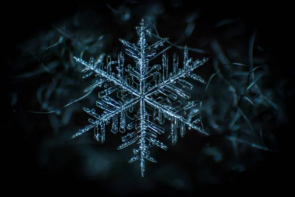 Snowflake Extreme Detailed Macro — Stock Photo, Image