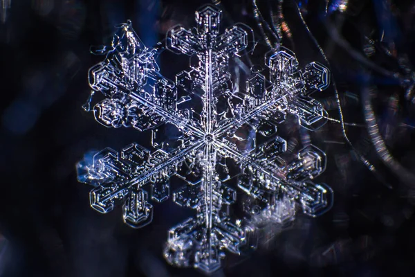 Snowflake Extreme Detailed Macro — Stock Photo, Image