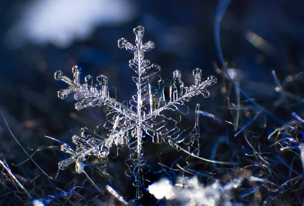 Floco Neve Macro Detalhada Extrema — Fotografia de Stock