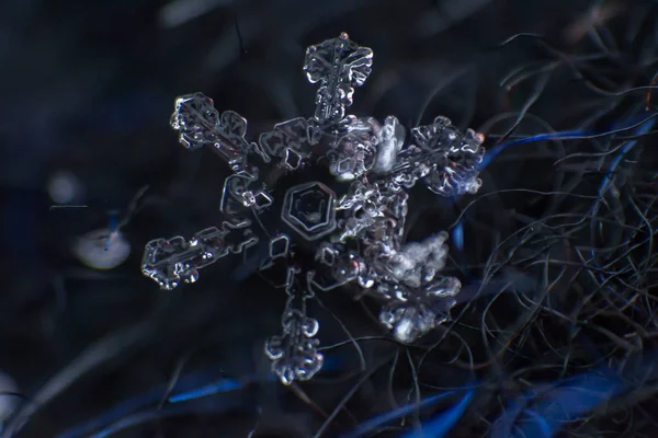 Snowflake Extreme Detailed Macro — Stock Photo, Image