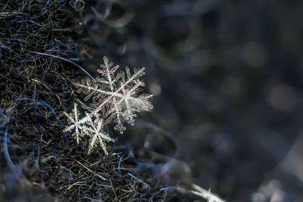 自然雪花宏 冰冻的自然之美 — 图库照片