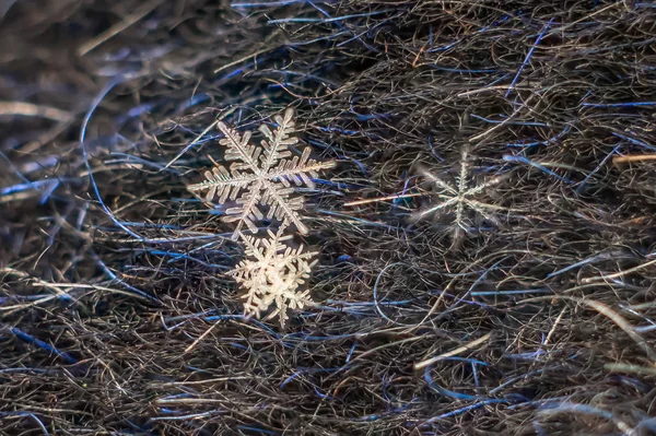 Natürliches Schneeflockenmakro Vereiste Schönheit Der Gefrorenen Natur — Stockfoto