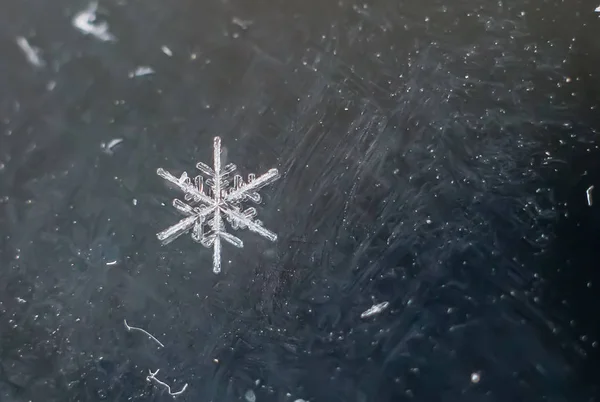 Naturliga Snöflinga Makro Iced Den Frysta Naturen Skönhet — Stockfoto