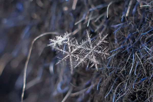 Natürliches Schneeflockenmakro Vereiste Schönheit Der Gefrorenen Natur — Stockfoto