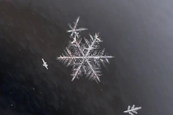 Naturliga Snöflinga Makro Iced Den Frysta Naturen Skönhet — Stockfoto