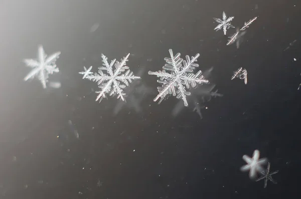 Naturalne Śnieżynka Makro Mrożona Piękno Mrożone Natura — Zdjęcie stockowe