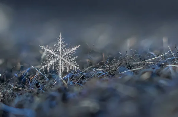 Természetes Hópehely Makró Jeges Természet Szépségét Fagyasztott — Stock Fotó