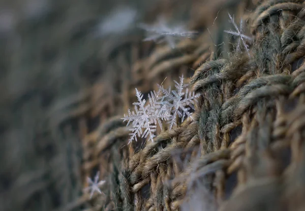 Natürliches Schneeflockenmakro Vereiste Schönheit Der Gefrorenen Natur — Stockfoto