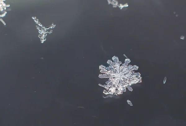 Φυσικό Macro Νιφάδα Χιονιού Παγωμένο Ομορφιά Της Φύσης Κατεψυγμένα — Φωτογραφία Αρχείου