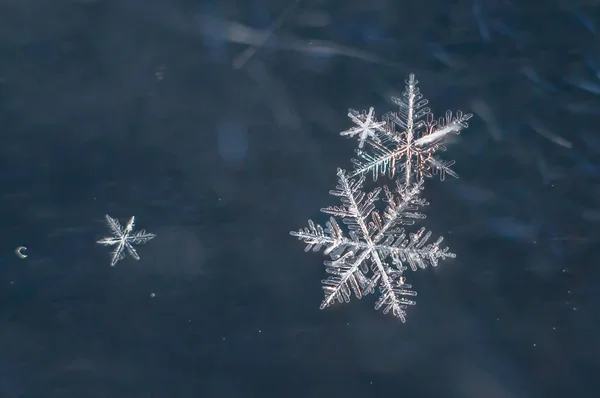 Natuurlijke Macro Sneeuwvlok Iced Schoonheid Van Bevroren Natuur — Stockfoto