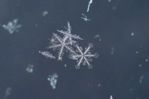 自然雪花宏 冰冻的自然之美 — 图库照片