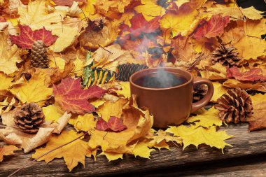 Sonbahar sakin bir hayat