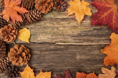 Sonbahar sakin bir hayat