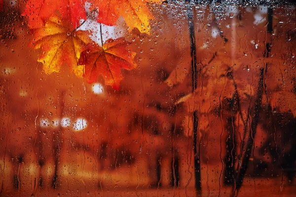 窗外的秋雨 — 图库照片