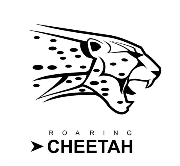 cheetah, roaring cheetah in black and white.