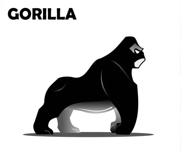 Gorilla King Kong Silver Back — Stock Vector