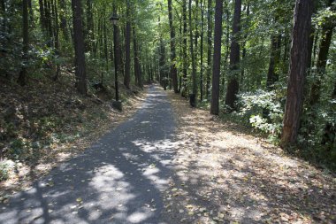 Yıldız Jin Kalesi harabesi.