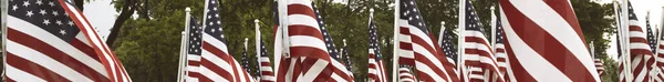 Leaderboard Size 728 Group American Flags Haymarket Virginia Memorial Day — Stock Photo, Image