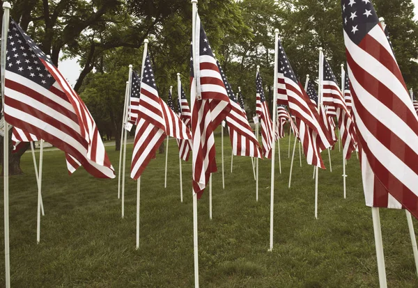 Grupo Bandeiras Americanas Haymarket Virgínia Memorial Day Prince William County — Fotografia de Stock