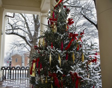 Noel ağacı Warrenton Virginia adliyede.