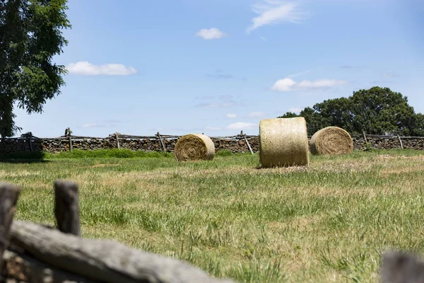 Heuballen Und Ackerland Der Nähe Von Upperville Virginia Fauquier County — Stockfoto