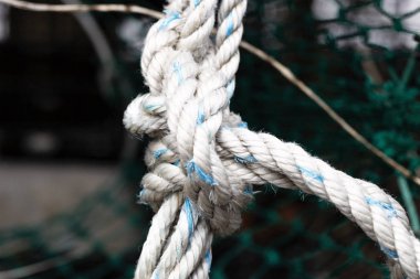 Wellfleet ma Cape Cod bir ıstakoz pot üzerinde bir düğüm yakın çekim.