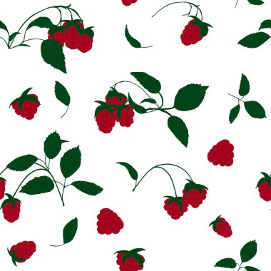 Beyaz arka planda kırmızı ahududu böğürtlenli pürüzsüz desen. Bir çalılığın dallarında kırmızı ahududu ve bitkinin yeşil yaprakları..