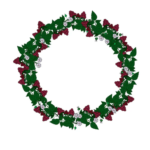 Vzor s červenými malinami, bílými květy a zelenými listy ve tvaru kruhu na bílém pozadí — Stockový vektor