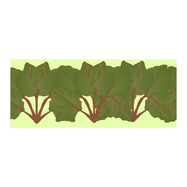 Бесшовная граница, орнамент, узор с большими зелеными и красными листьями ревеня на желтом фоне — стоковый вектор