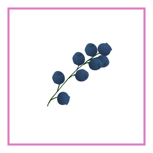 Μοτίβο με μπλε βατόμουρα και πράσινα φύλλα στα κλαδιά. Βατόμουρα σε βατόμουρο. Μοτίβο. — Διανυσματικό Αρχείο