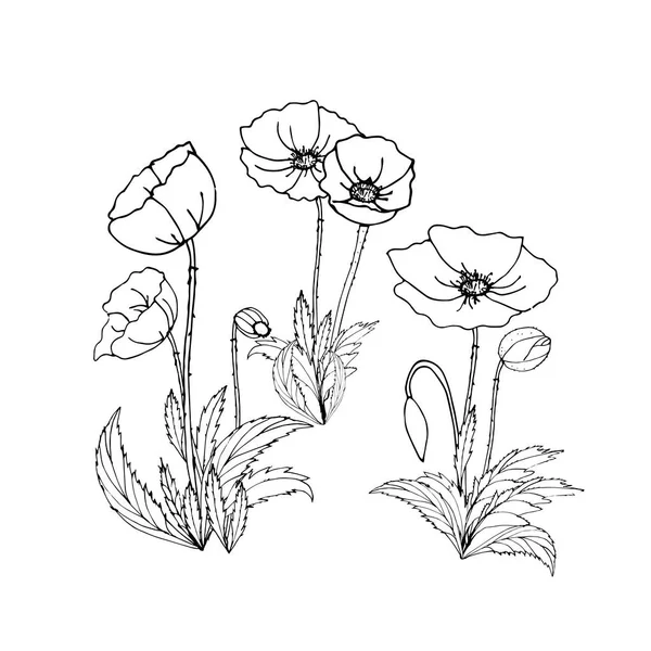 꽃 과 꽃봉오리와 잎이 달린 흑백 그림 — 스톡 벡터