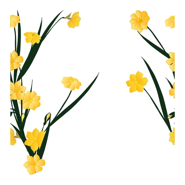 Seamless pattern, an ornament with yellow flowers, buds, leaves of daffodils on a white background. Flower pattern with daffodils. Daffodil flowers in bouquets. Narcissus blooming. Spring, summer pattern. Vector illustration