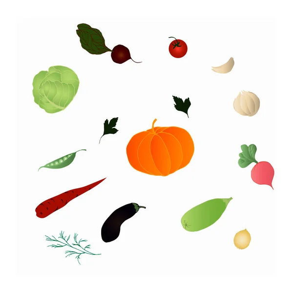 Pattern Set Vegetables Pumpkin Carrot Tomato Onion Garlic Parsley Leaves — Stock Vector