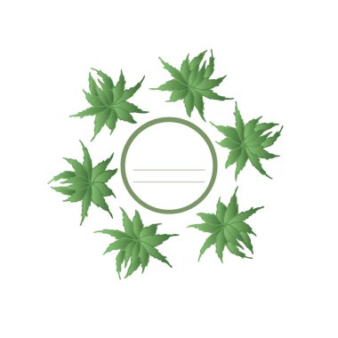 Yeşil aloe bitkilerinden oluşan beyaz arkaplan ve metin ve harfler yazmak için çizgileri olan yuvarlak bir alan. Kartpostal, aloe etiketli. Aloe bir bitki. Aloe ile ayarla.. vektör illüstrasyonu