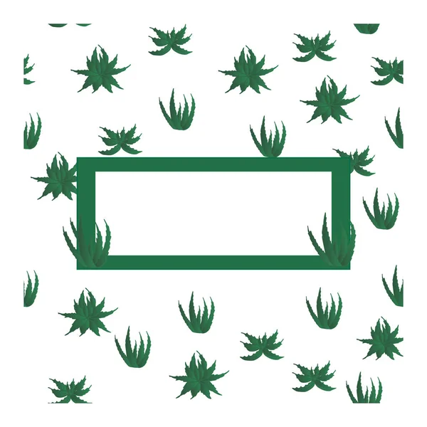Fehér Háttér Minta Kis Zöld Aloe Növények Egy Téglalap Alakú — Stock Vector