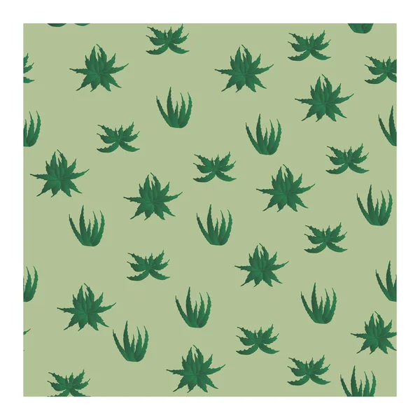 Patrón Sin Costuras Con Plantas Aloe Verde Patrón Con Aloe — Vector de stock