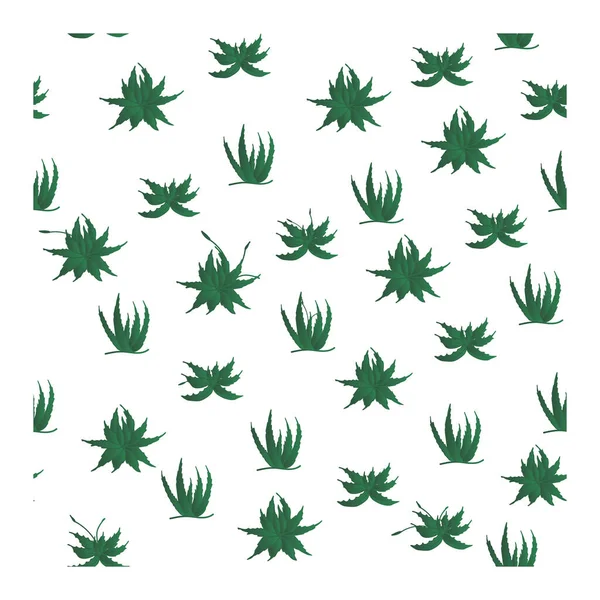 Zökkenőmentes Minta Zöld Aloe Növényekkel Minta Aloéval Aloe Virág Kaktusz — Stock Vector