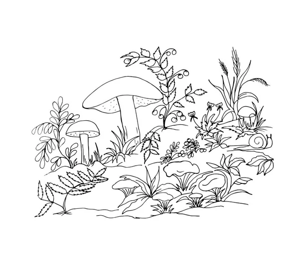 검은 색과 흰색 벡터 삽화, 가마우지 버섯, 가마우지 버섯, 식물, 꽃, 달팽이가 있는 숲을 청소하는 모습. — 스톡 벡터