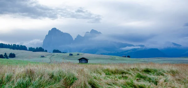 Alpe di Siusi eteklerindeki kır evleri, Sassolungo ve Langkofel dağ grubuyla Seiser Alm, Güney Tyrol, İtalya