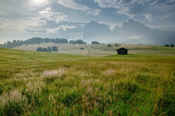Alpe di Siusi eteklerinde tek bir kulübe, Sassolungo ve Langkofel dağ grubuyla Seiser Alm, Güney Tyrol, İtalya