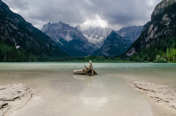 Braies Gölü kıyısındaki ağacın bir kısmı ve kıyıdan Alpler 'in manzarası, Picturesque. Sassolungo ve Langkofel dağ grubuyla Alpe di Siusi veya Seiser Alm, Güney Tyrol, İtalya