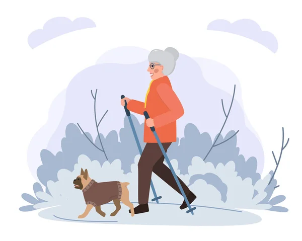 Vecchia donna che cammina con cane nel parco illustrazione piatta. Vettore azionario. Sport e attività con cani per anziani . Vettoriale Stock