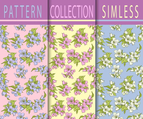 Modèle Sans Couture Avec Des Fleurs Jasmin Motif Floral Décoratif — Image vectorielle