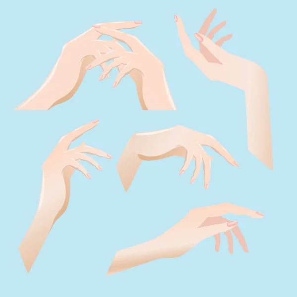 Uppsättning kvinnliga händer i olika vinklar. — Stock vektor