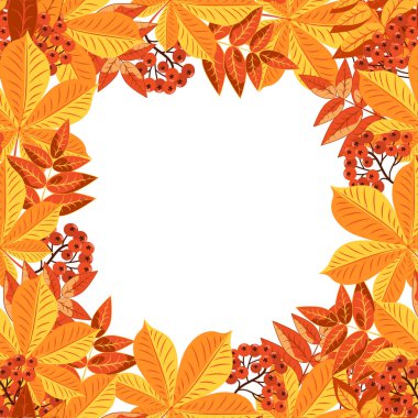 Sonbahar renkli kare yaprak çerçevesi beyaz arkaplanda izole edilmiş. Kart çerçevesinde sonbahar sarısı ve kırmızı yapraklar toplanır..