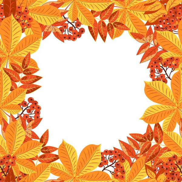 Sonbahar renkli kare yaprak çerçevesi beyaz arkaplanda izole edilmiş. Kart çerçevesinde sonbahar sarısı ve kırmızı yapraklar toplanır..