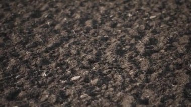 Kara toprak arkaplanını kapatın. Döndürülebilir video